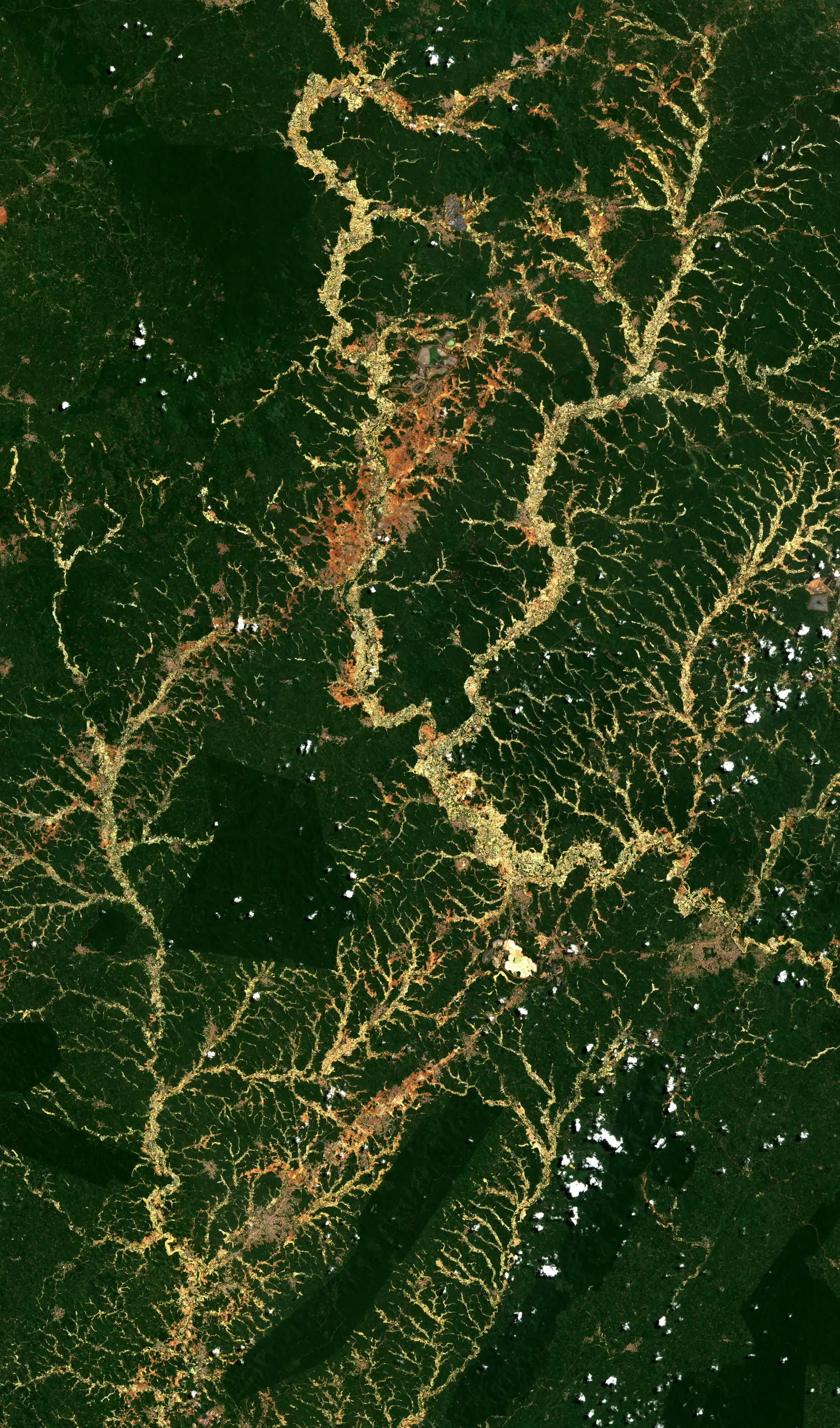 Gold mining corridors visible through forest from satellite imagery